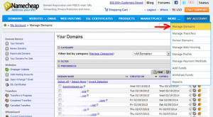 tek paneli namecheap klikojme Manage Domains