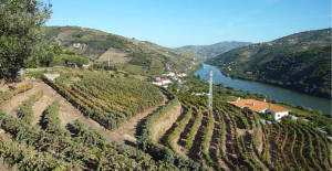 alto douro