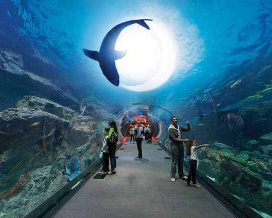 Il Dubai Aquarium negli Emirati Arabi